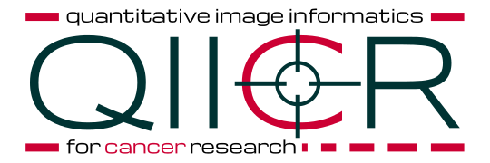 File:QIICR logo.png